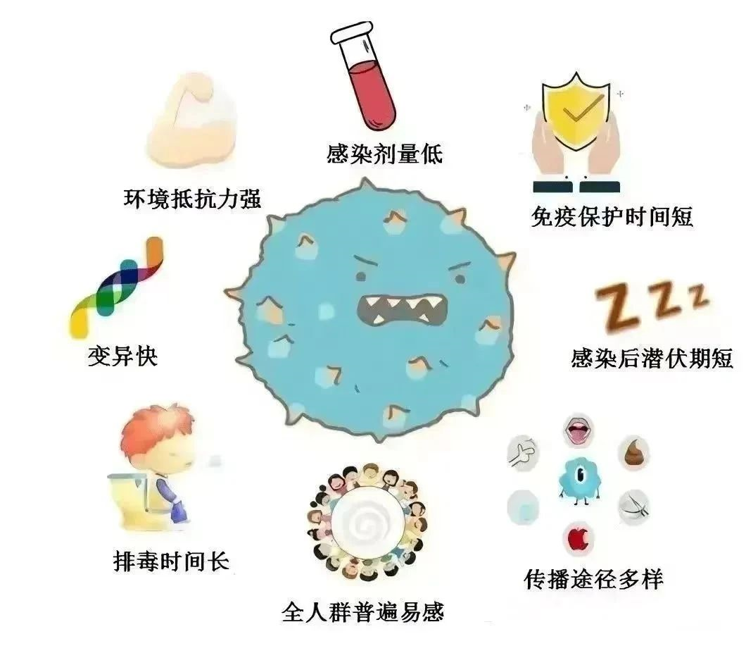 健康提示 | 近期諾如病毒進入高發(fā)期，這份健康提醒請查收！